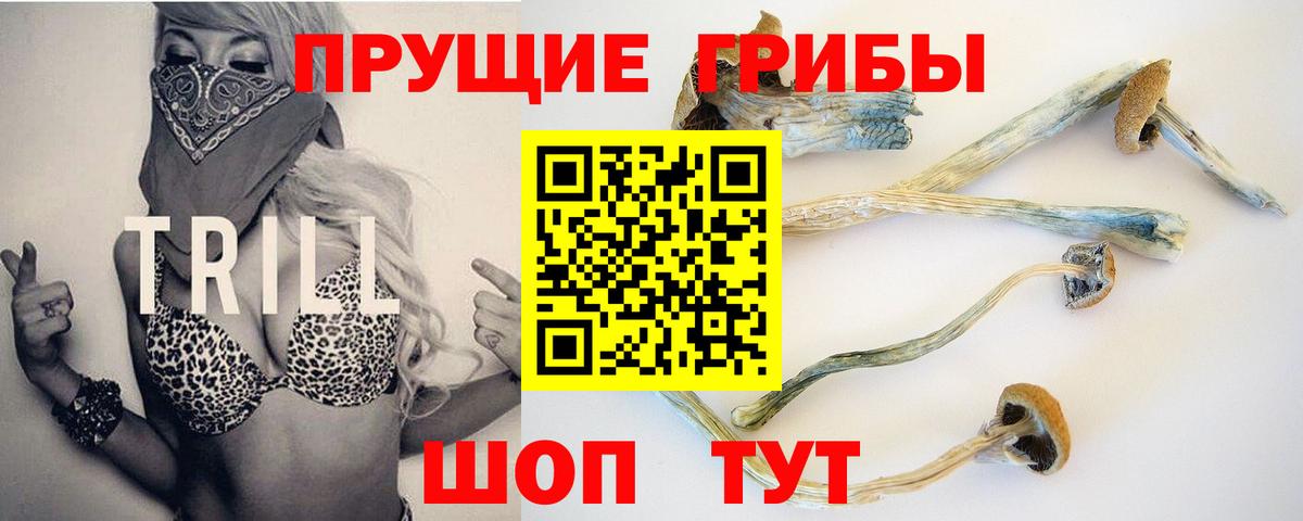 Псилоцибиновые грибы MAGIC MUSHROOMS Рыбинск