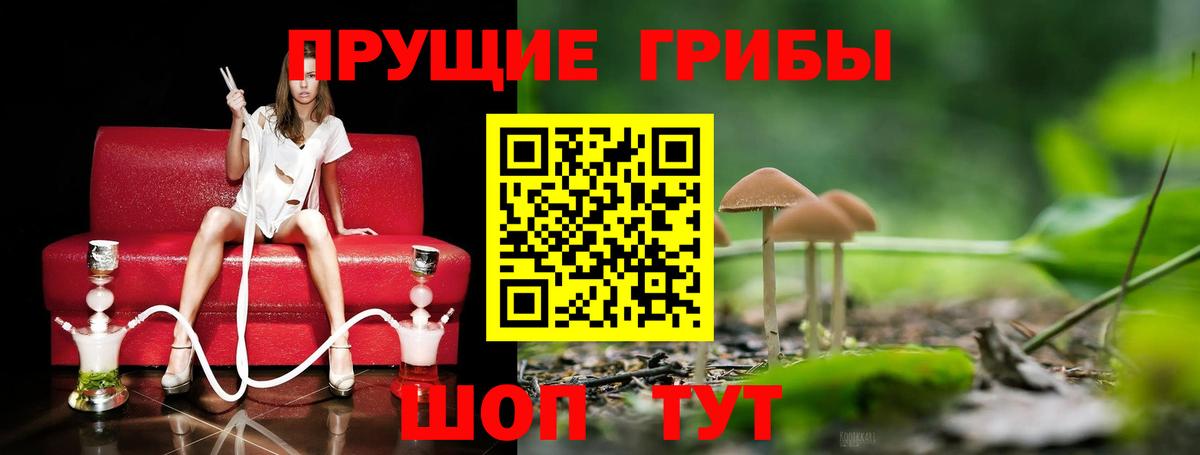 Галлюциногенные грибы Cubensis  Вход с VPN  Рыбинск 